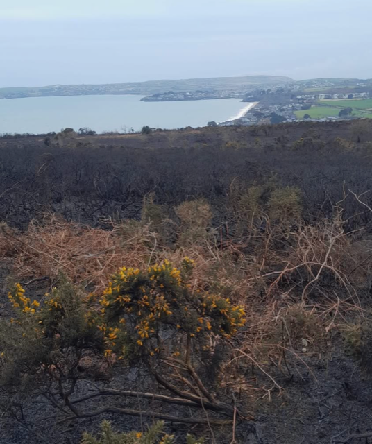 Tân Llanbedrog/Abersoch