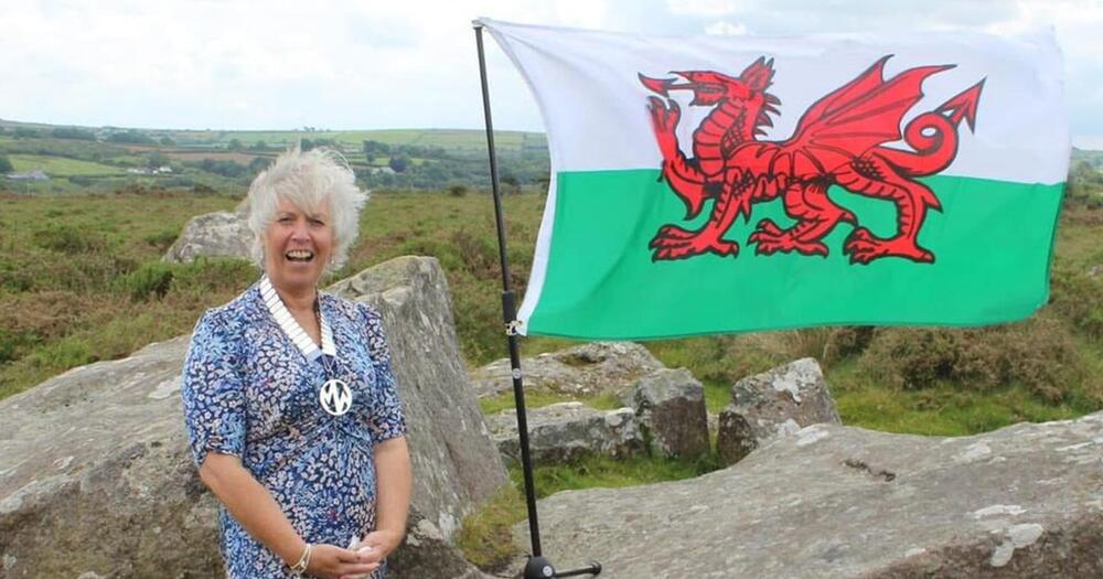 Jill Lewis adeg ei hurddo yn lywydd
