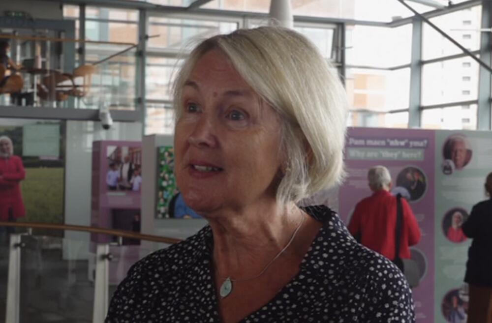 Sian Gwenllian