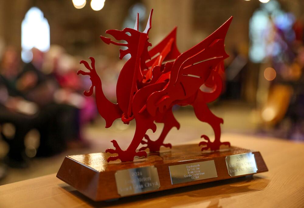 Y wobr ar gyfer ysgoloriaeth Leah Owen