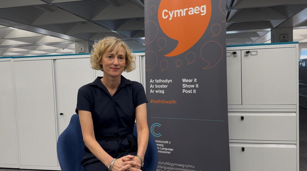 Y Comisinydd y Gymraeg, Efa Jones 