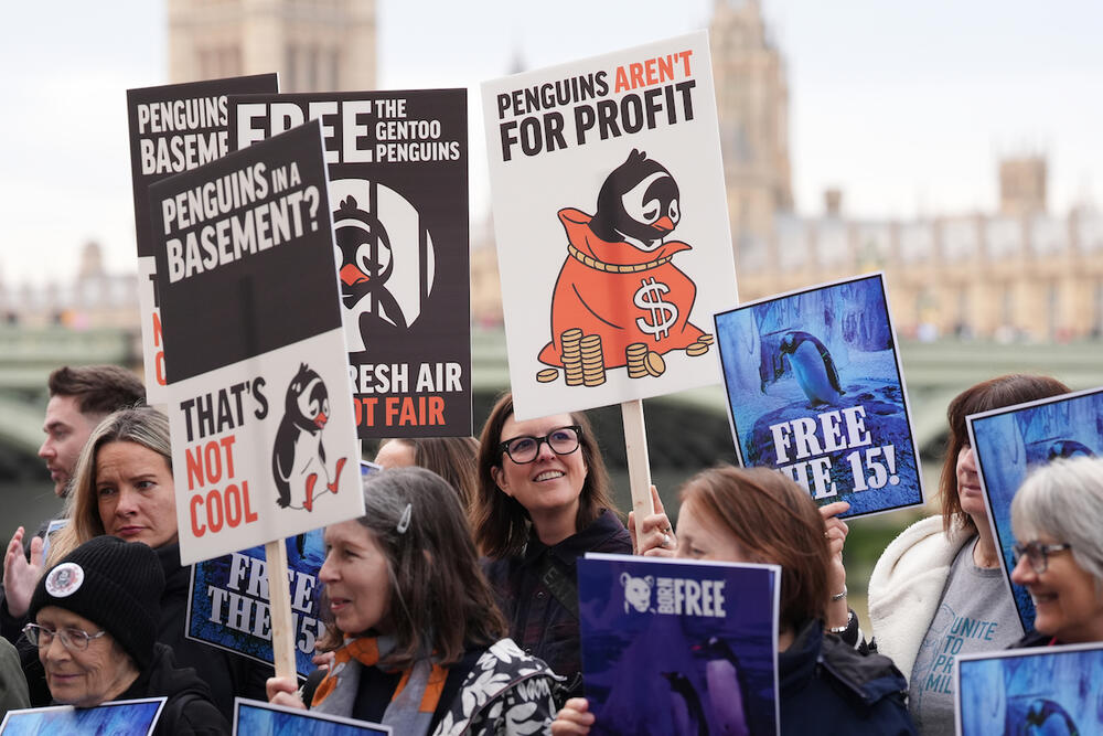 protest