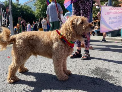 Pride Cymru